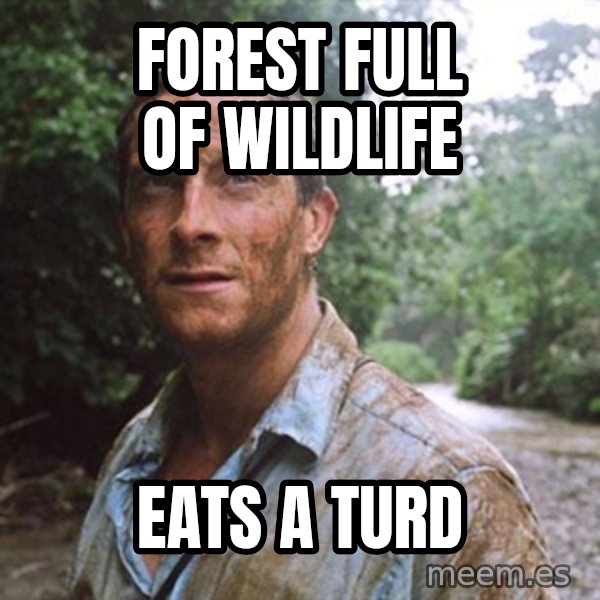 Bear Grylls meme: forest full of wildlife / eats a turd