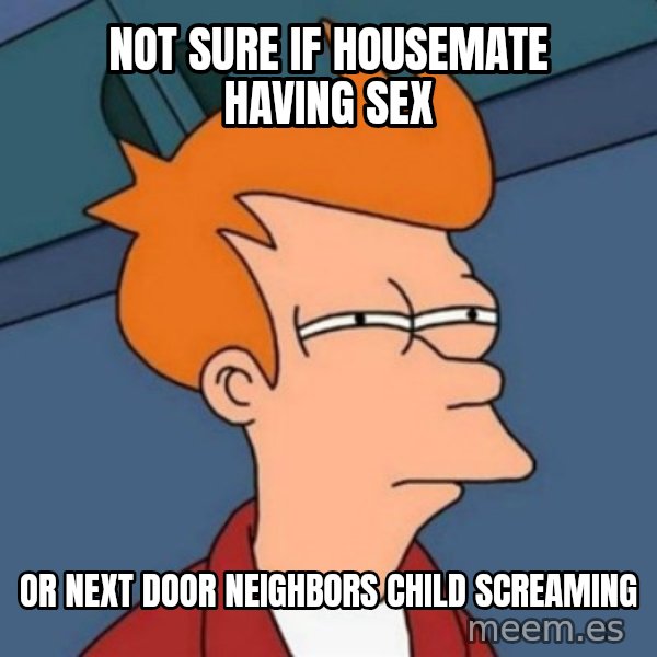 Not sure if troll meme: NOT SURE IF HOUSEMATE HAVING SEX / OR NEXT DOOR NEIGHBORS CHILD SCREAMING