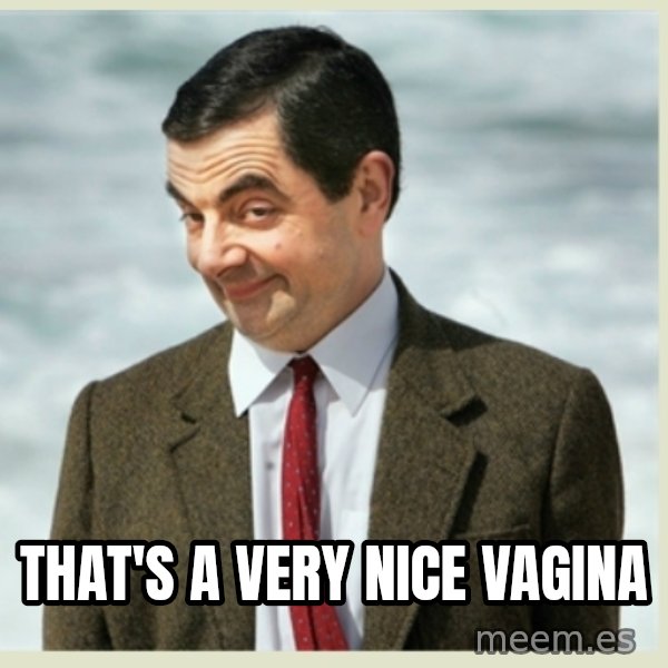 MR bean meme: that's a very nice vagina