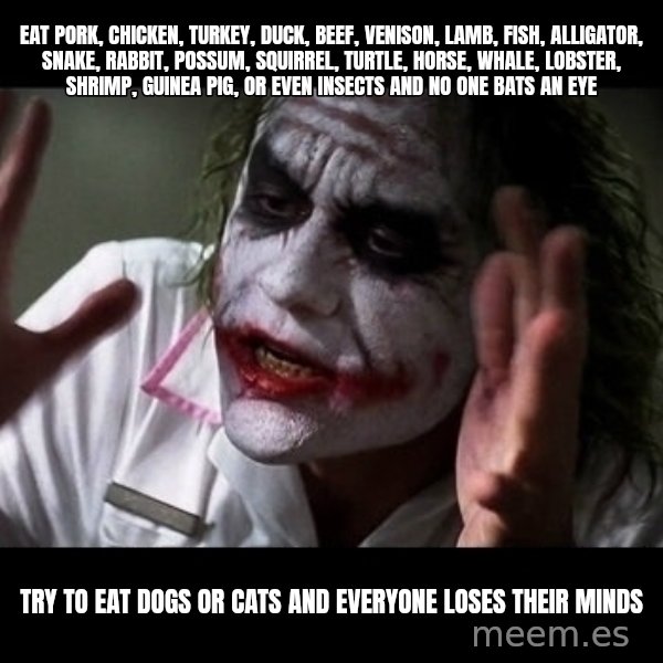 joker mind loss meme: Eat pork, chicken, turkey, duck, beef, venison, lamb, fish, alligator, snake, rabbit, possum, squirrel, Turtle, horse, whale, lobster, shrimp, guinea pig, or even insects and no one bats an eye / Try to eat Dogs or cats and everyone loses their minds