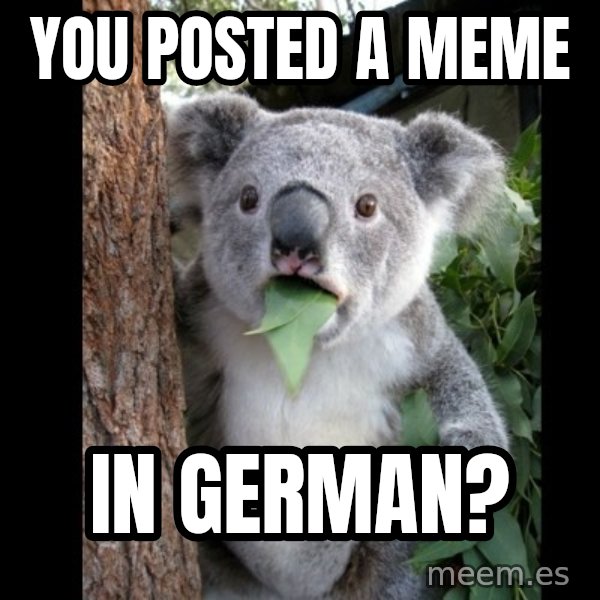 Koala can't believe it meme: YOU POSTED A MEME / IN GERMAN?