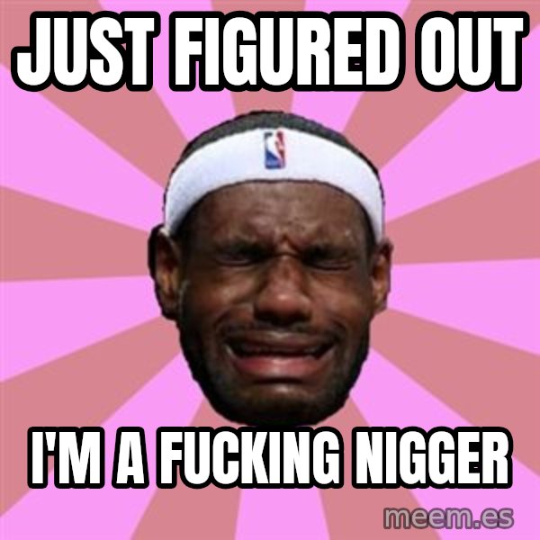 LeBron James meme: JUST FIGURED OUT / I'M A FUCKING NIGGER