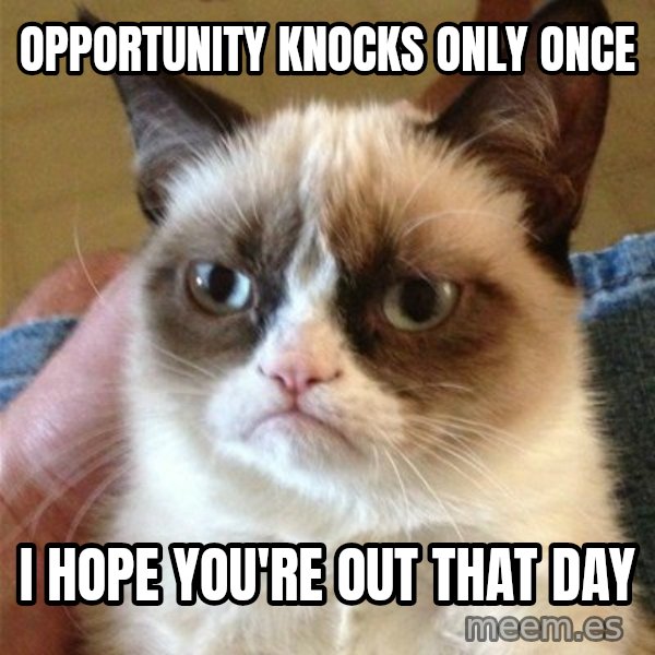 Grumpy Cat  meme: opportunity knocks only once / i hope you're out that day
