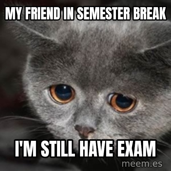 Sadcat meme: my friend in semester break / i'm still have Exam
