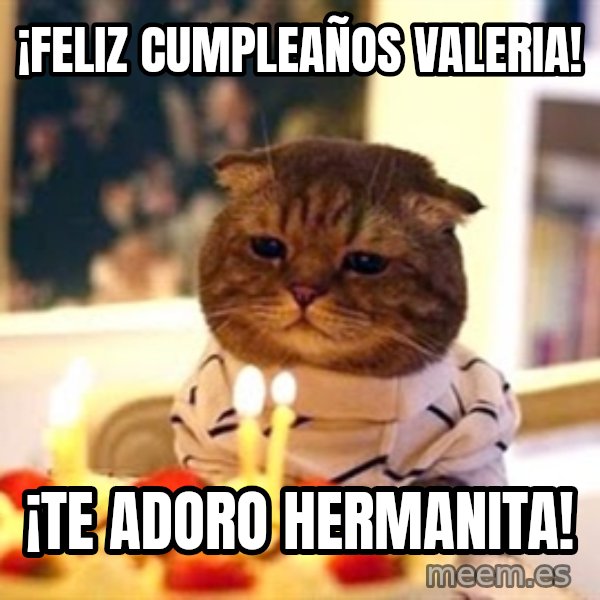 Birthday Cat meme: ¡Feliz cumpleaños valeria! / ¡Te adoro hermanita!