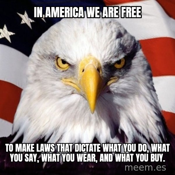 American Pride Eagle meme: in america we are free / to make laws that dictate what you do, what you say, what you wear, and what you buy.
