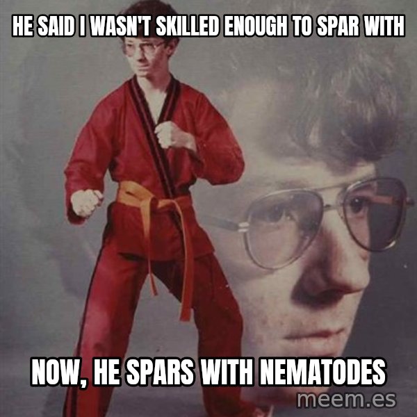 PTSD Karate Kyle meme: he said I wasn't skilled enough to spar with / now, he spars with nematodes