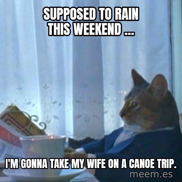 newspaper cat realization meme: Supposed to rain this weekend ... / I'm gonna take my wife on a canoe trip.