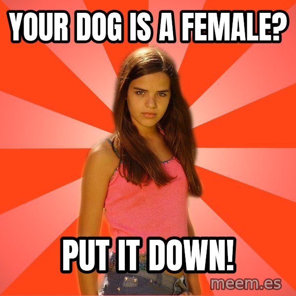 Jealous Girl meme: your dog is a female? / put it down!
