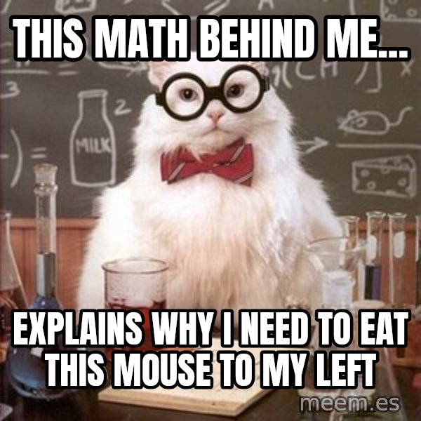 Chemistry Cat meme: This math behind me... / Explains why i need to eat this mouse to my left