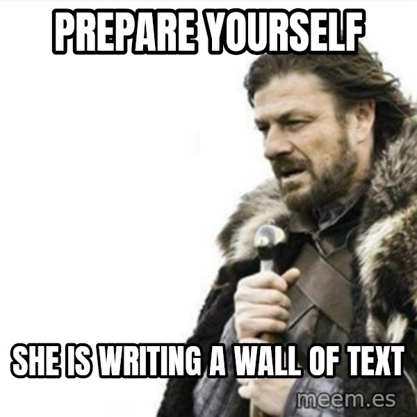 Prepare yourself meme: prepare yourself / she is writing a wall of text