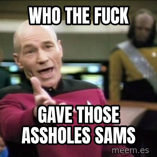 Why the fuck meme: Who the fuck / Gave those assholes SAMs