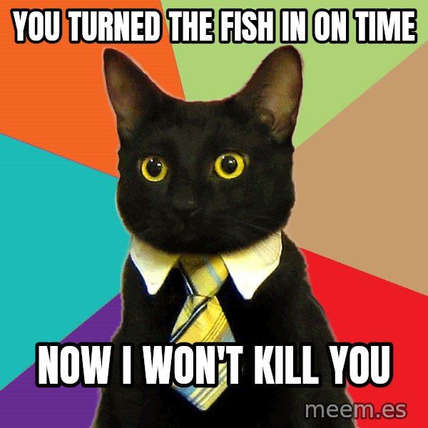 Business Cat meme: You turned the fish in on time / now i won't kill you