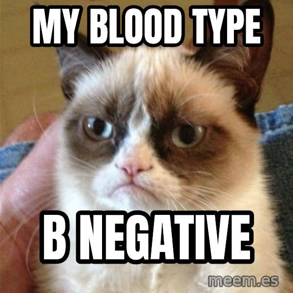 Grumpy Cat  meme: my blood type / b NEGATIVE