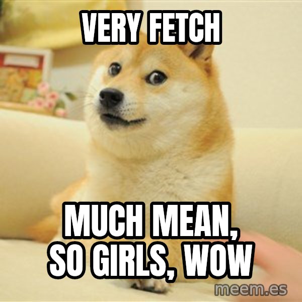 so doge meme: very fetch / much mean, so girls, wow