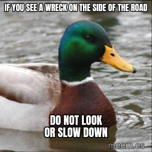 Actual Advice Mallard 1 meme: If you see a wreck on the side of the road / Do not look or slow down