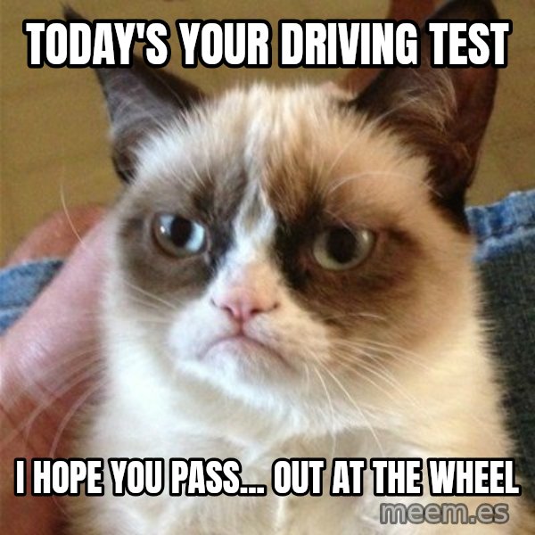 Grumpy Cat  meme: Today's your driving test / i hope you pass... out at the wheel