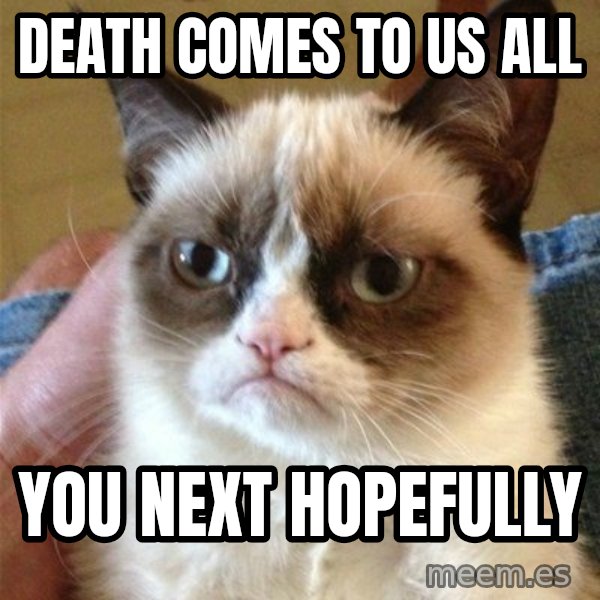 Grumpy Cat  meme: death comes to us all / you next hopefully