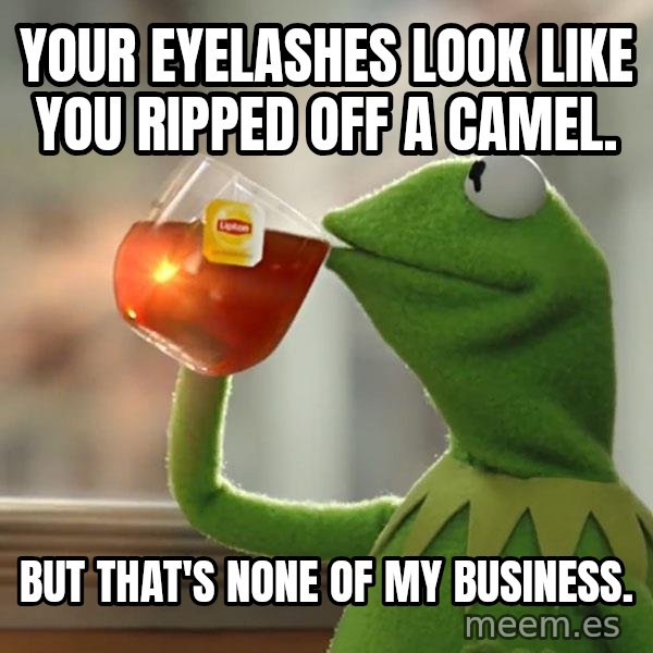 Kermit The Frog Drinking Tea meme: YOUR EYELASHES LOOK LIKE YOU RIPPED OFF A CAMEL. / BUT THAT'S NONE OF MY BUSINESS.