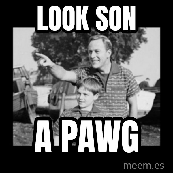look son a faggot meme: look son / a pawg