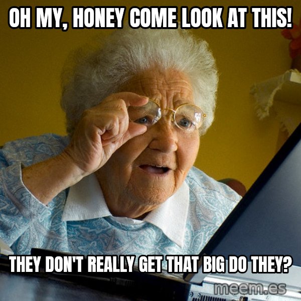 Internet Grandma Surprise meme: oh my, honey come look at this! / They don't really get that big do they?