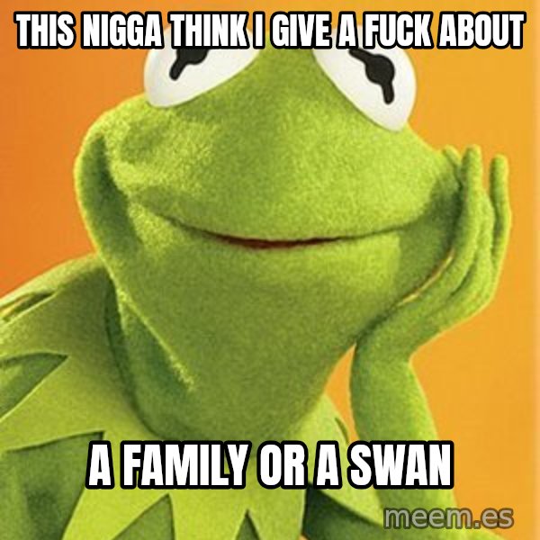 Kermit the frog meme: this nigga think i give a fuck about / a family or a swan