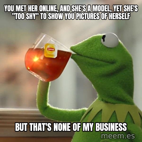 Kermit The Frog Drinking Tea meme: You met her online, and she's a model, yet she's "too shy" to show you pictures of herself / But that's none of my business