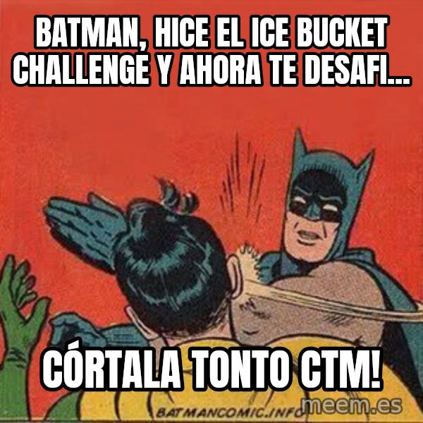 batman slap robin meme: Batman,  hice el Ice Bucket Challenge y ahora te desafi... / Córtala tonto CTM!