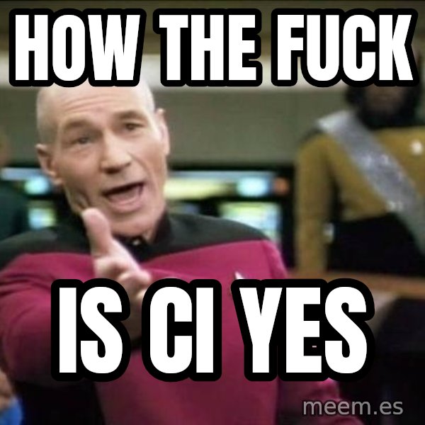 Why the fuck meme: How the fuck / IS CI YES