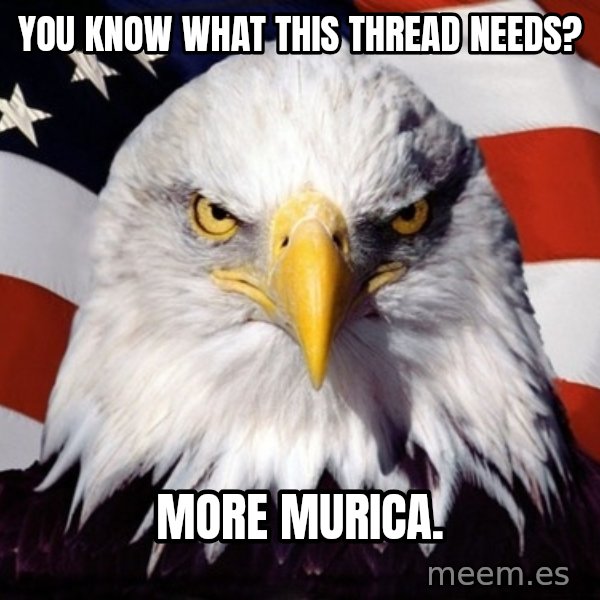 American Pride Eagle meme: You know what this thread needs? / more murica.