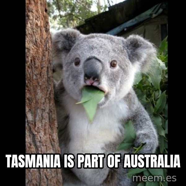 Koala can't believe it meme: Tasmania is part of Australia