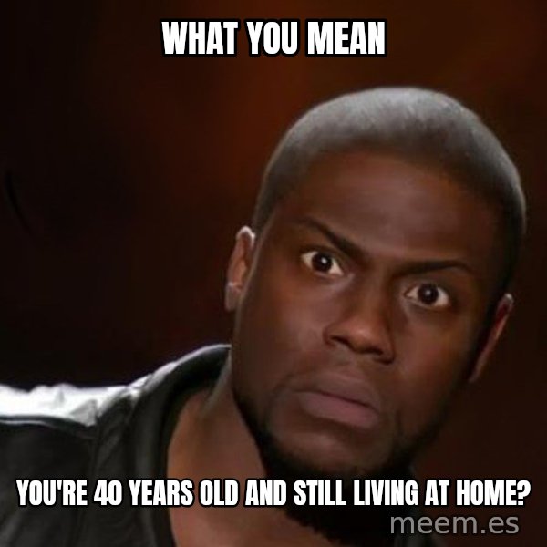 kevin hart nigga meme: What you mean / you're 40 years old and still living at home?