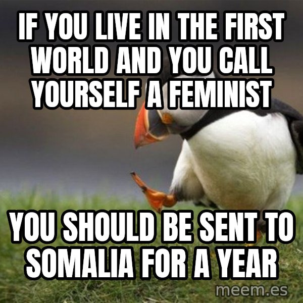 Unpopular Opinion Puffin meme: If you live in the first world and you call yourself a feminist / You should be sent to Somalia for a year