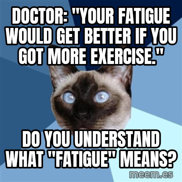 Chronic Illness Cat meme: Doctor: "Your fatigue would get better if you got more exercise." / Do you understand what "fatigue" means?