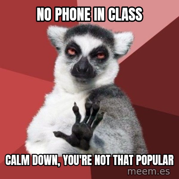 Chill Out Lemur meme: No phone in class / Calm down, you're not that popular