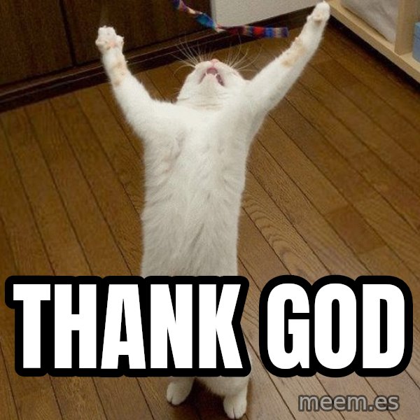 praise the lord cat meme: THANK GOD