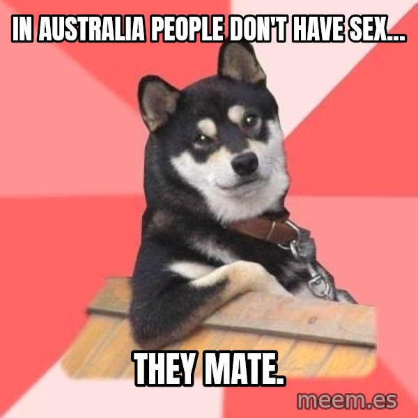 Cool Dog meme: In Australia people don't have sex... / They mate.