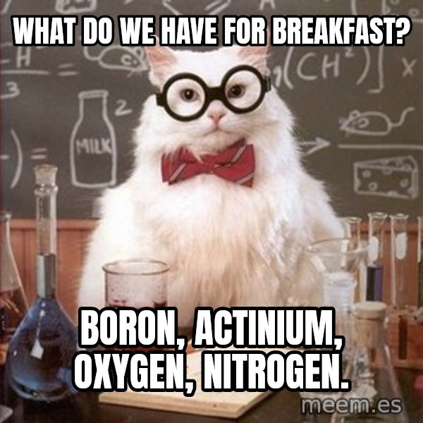 Chemistry Cat meme: What do we have for breakfast? / Boron, Actinium, Oxygen, Nitrogen.