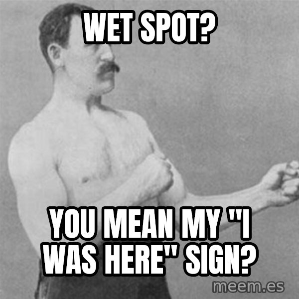 overly manlyman meme: Wet spot? / You mean my "I Was Here" sign?