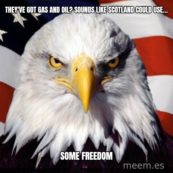 Freedom Eagle  meme: THEY'VE GOT GAS AND OIL? SOUNDS LIKE SCOTLAND COULD USE… / SOME FREEDOM