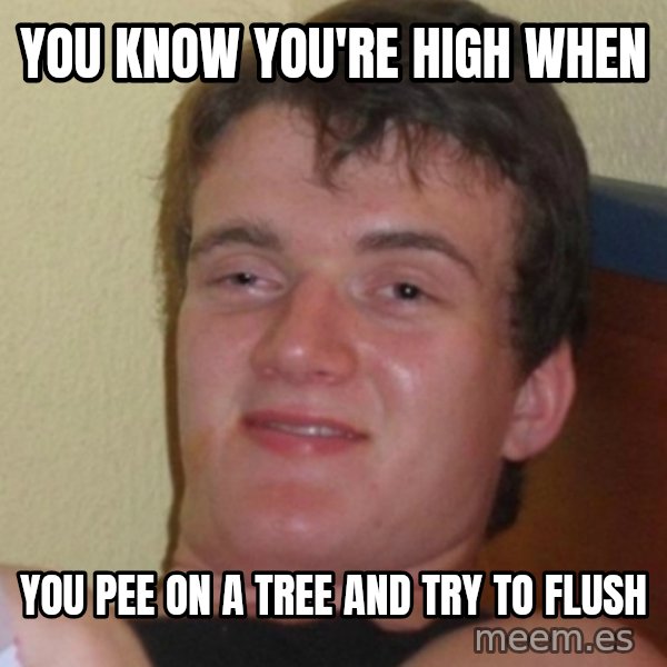 Stoner Stanley meme: You know you're high when / you pee on a tree and try to flush