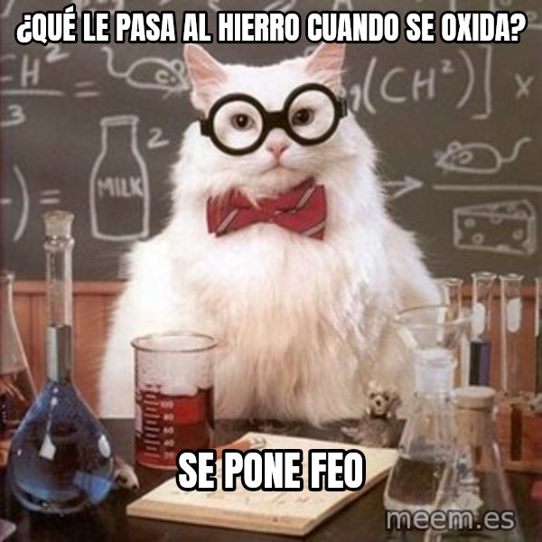 Chemistry Cat meme: ¿Qué le pasa al hierro cuando se oxida? / Se pone FEO