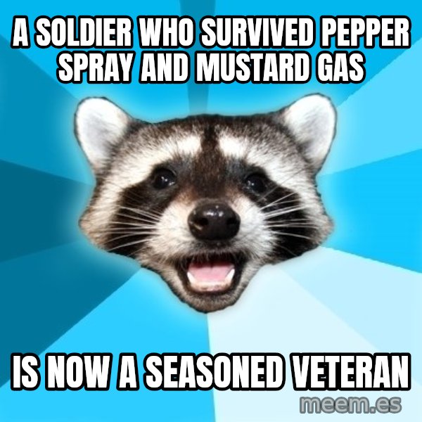 Lame Pun Coon meme: A soldier who survived pepper spray and mustard gas / is now a seasoned veteran