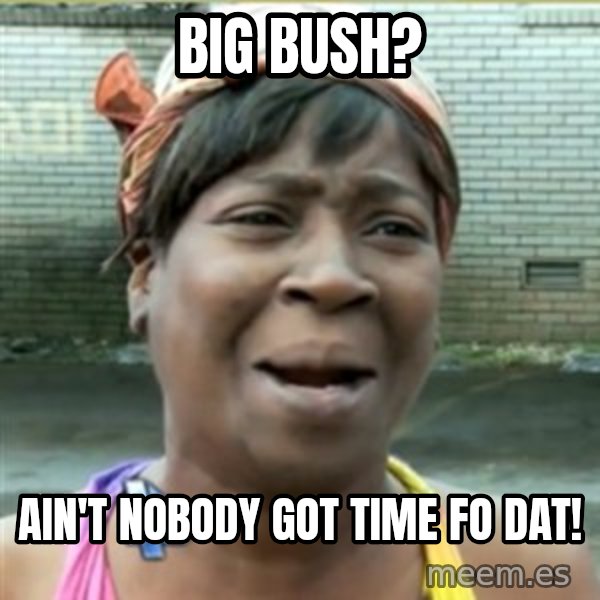 Ain't Nobody got time fo that meme: Big bush? / Ain't nobody got time fo dat!