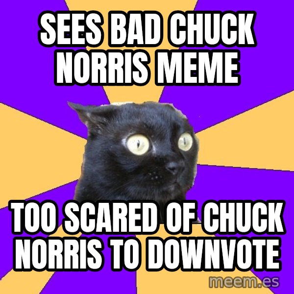 Anxiety Cat meme: sees bad chuck norris meme / too scared of chuck norris to downvote