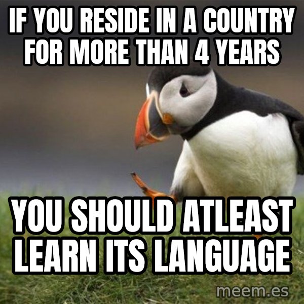 Unpopular Opinion Puffin meme: If you reside in a country for more than 4 years / You should atleast learn its language