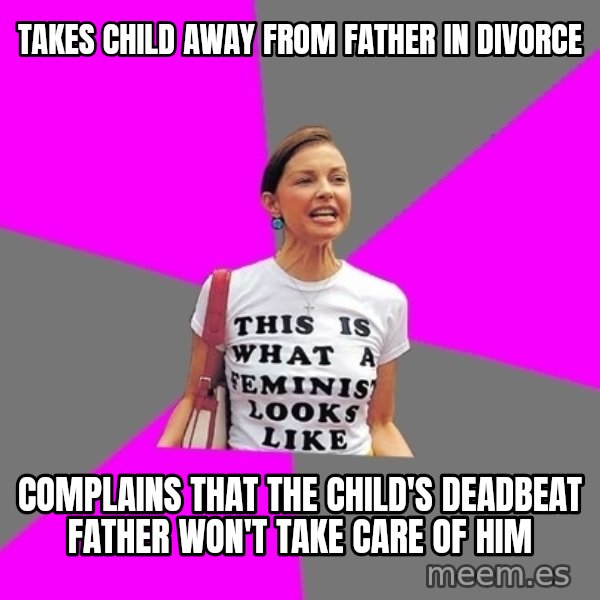 Feminist Cunt meme: Takes child away from father in divorce / Complains that the child's deadbeat father won't take care of him