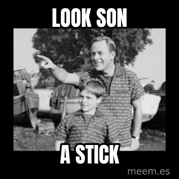 look son a faggot meme: LOOK SON / a stick