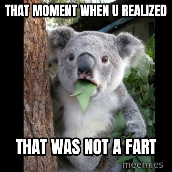 Koala can't believe it meme: That moment when u Realized / That was not a fart