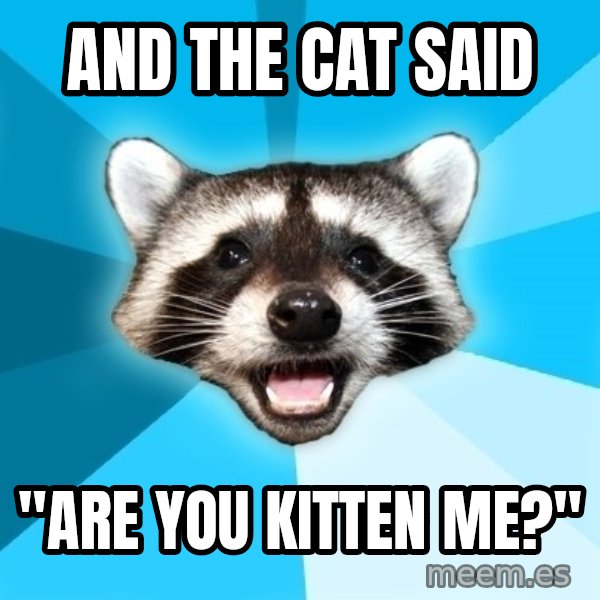 Lame Pun Coon meme: and the cat said / "are you kitten me?"